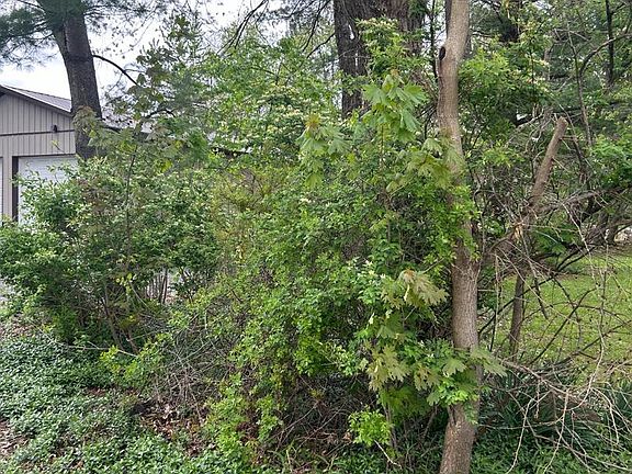 4th image of 228 Laurel Rd