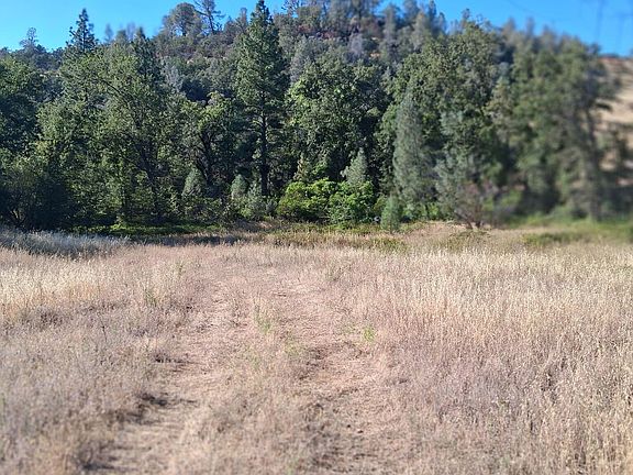5th image of Shingletown Ridge Rd