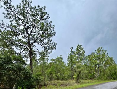0 NW Water Oak Ave LOT 14, Dunnellon, FL, 34431