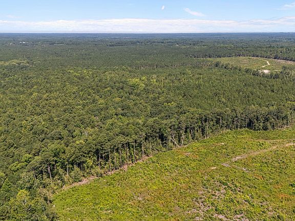 4th image of 1B Ponderosa Rd Lot 1