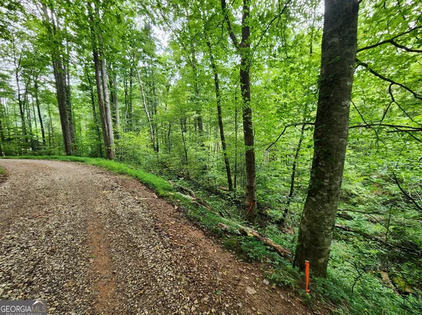 TRACT 2B Poplar Cove Rd, Suches, GA 30572