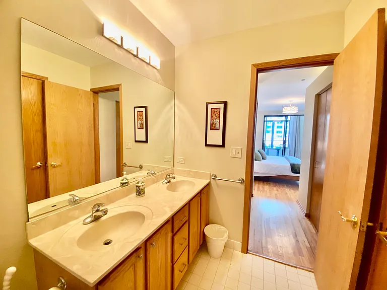 910 S Michigan Ave #1308 — Photo 19