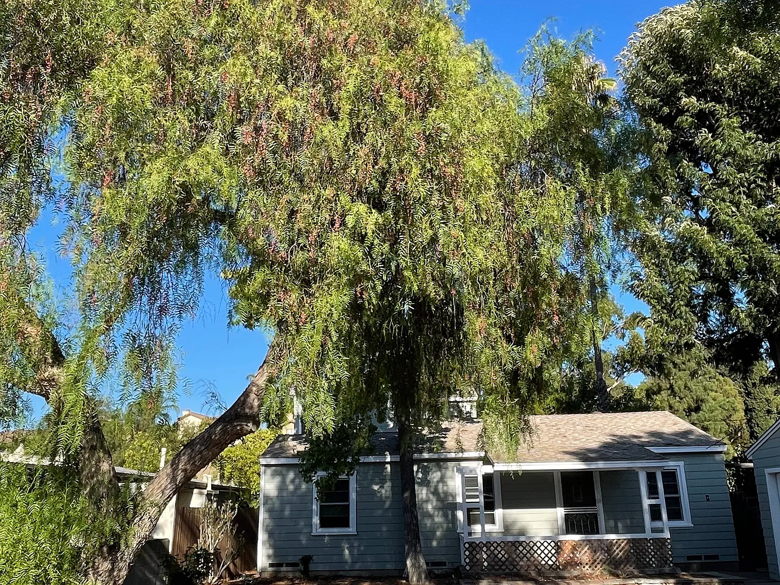 8525 Fanita Dr — Photo 2