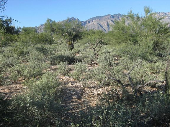2nd image of 3860 N El Esperante