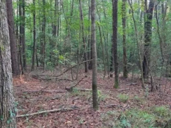 County Road 155, Stringer, MS 39481