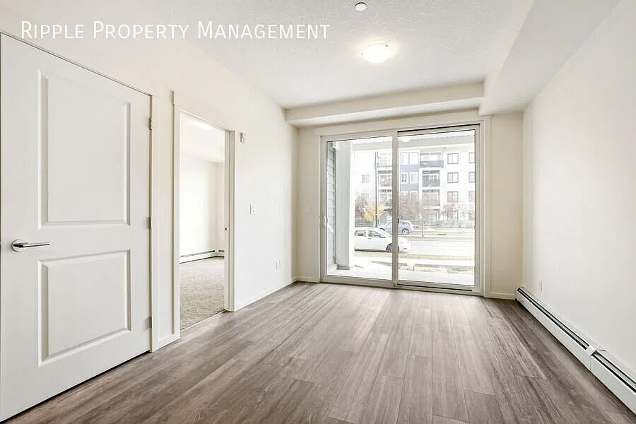 Modern 2 Beds, 2 Baths Apartment/Condo | 2 Pets Allowed. 20lbs Max — Photo 4