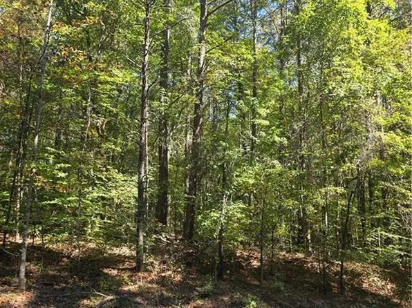 0 Power Dam Rd, Walnut Cove, NC 27052