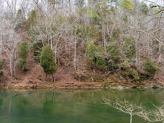 5th image of 105 Springdale Rd