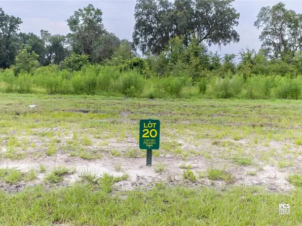 1485 Oxford Preserve, Oxford, FL 34484