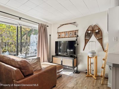 725 E Main St #103, Aspen, CO, 81611