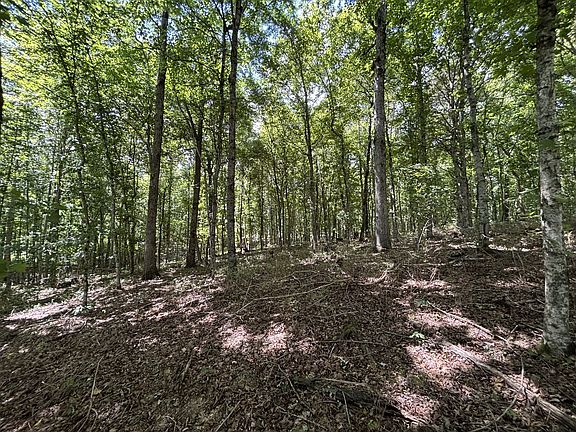 5th image of 0 Middle Lick Creek Rd Lot 30