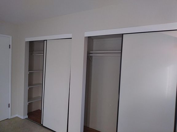 Two Closets in Master