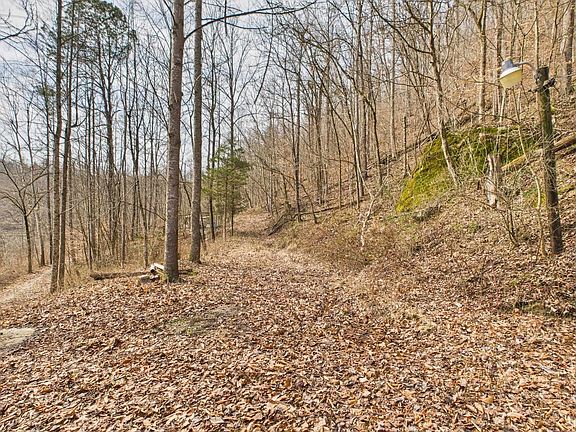 4th image of 323 Upper Silver Creek Rd