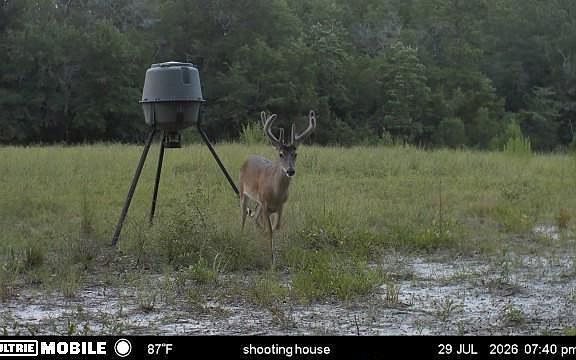 2nd image of 0 Laird Rd