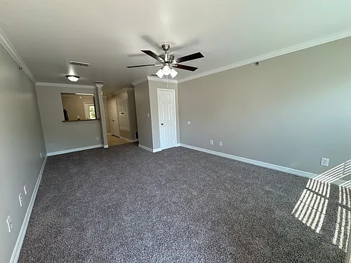 Floor plan 203