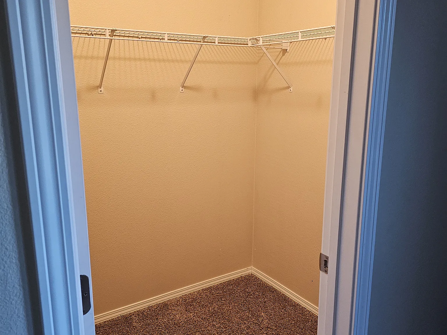 4 bed, 2.5 bath, 3497 sqft, $850 — Photo 4