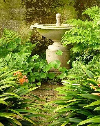 Private Patio