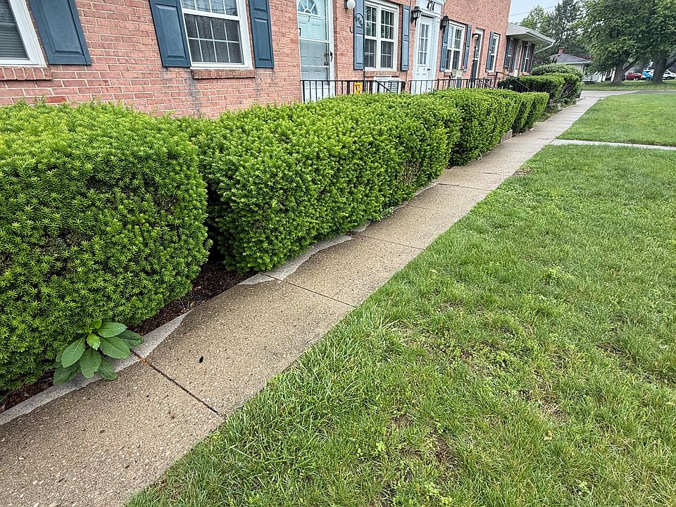 1st image of 424 S Wolf Creek St #8