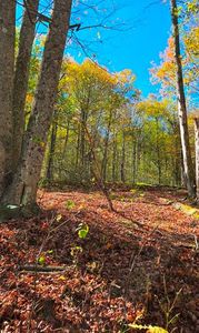 0 Aspen Valley Dr, Austin, PA, 16720