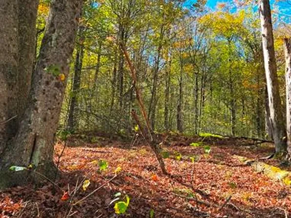 0 Aspen Valley Dr, Austin, PA 16720