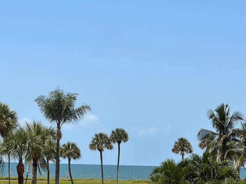4451 Gulf Shore Blvd N #203