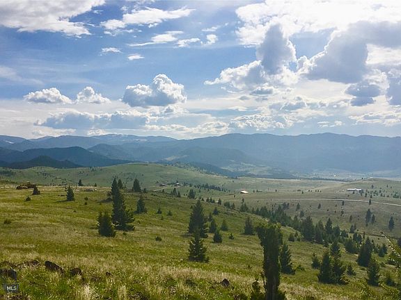 3rd image of Mustang Trl