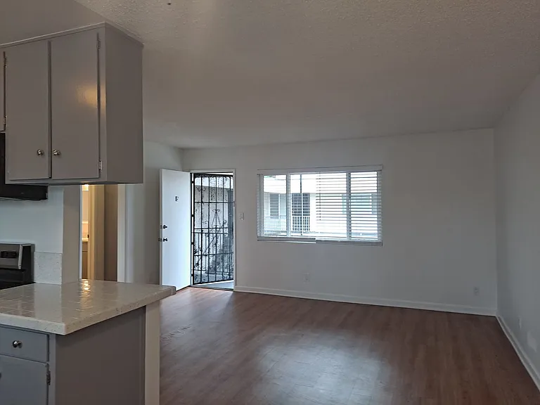 1156 Hornblend St — Photo 3