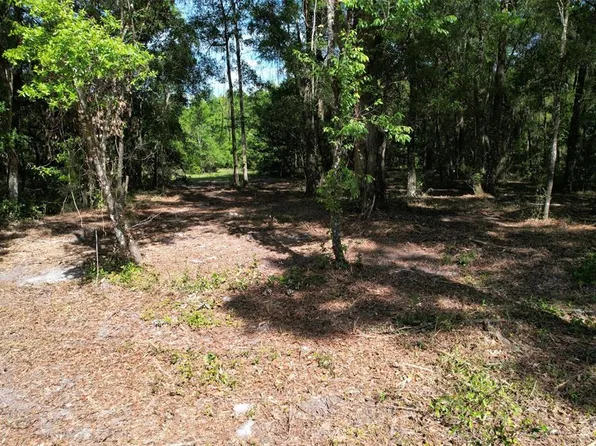 NE 164th Ter, Williston, FL 32696