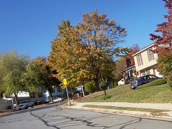 Coming up Andover Lane on a Fall afternoon