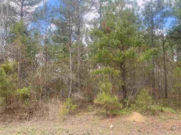 County Road 739, Henagar, AL 35978