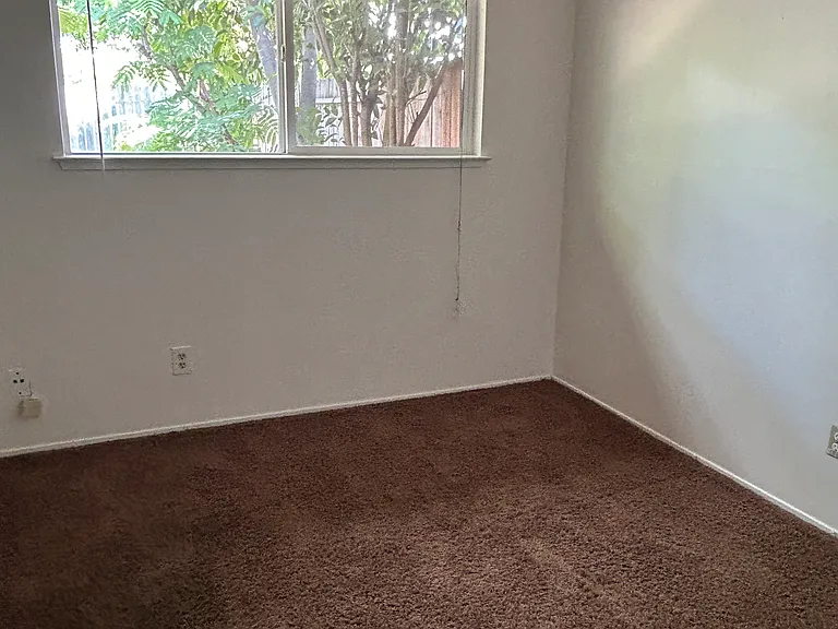 3317 Gould Way — Photo 7