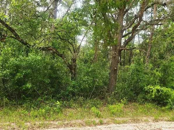 NE 280th Ave, Old Town, FL 32680