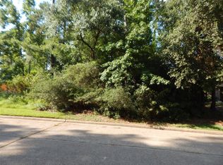 3006 Fitzgerald Dr, Montgomery, TX 77356