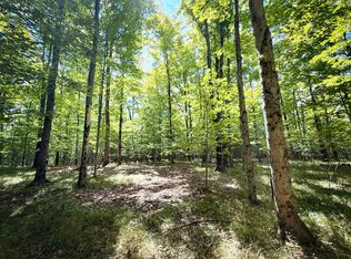 0 Cornell Hollow Rd #N/O, Endicott, NY 13760