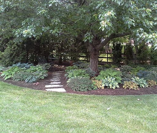 2nd image of 2535 Wood Bluff Ln