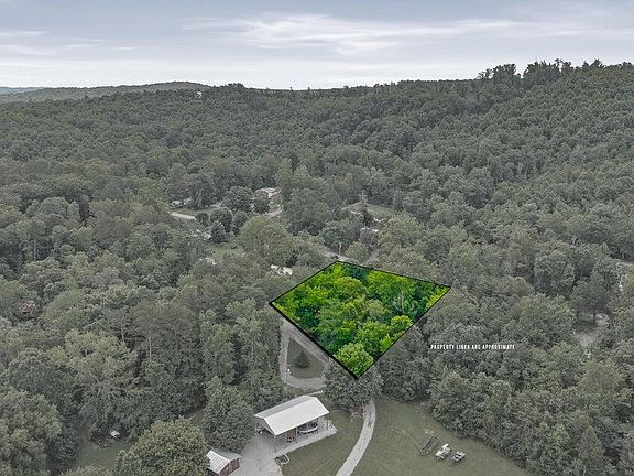 2nd image of 195 Crisp Ln