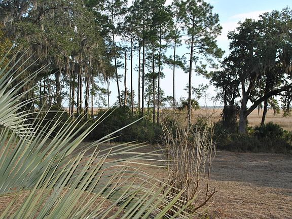 Marsh
