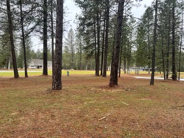 150 W Trappers Spur, Chewelah, WA 99109