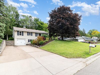 423 Eldridge Ave W, Roseville, MN, 55113