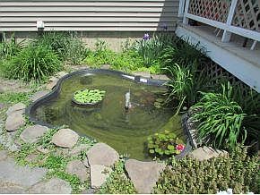 2nd image of 243 Tara Lee Dr