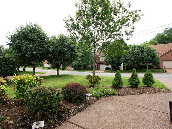 front landscaping looking to street