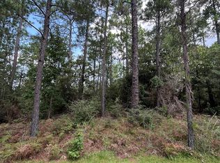 Pid 33138 Amblewood Dr, Brookeland, TX 75931