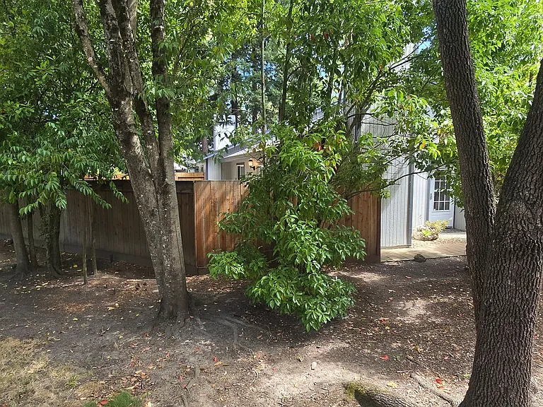 509 Tracy Ave — Photo 5