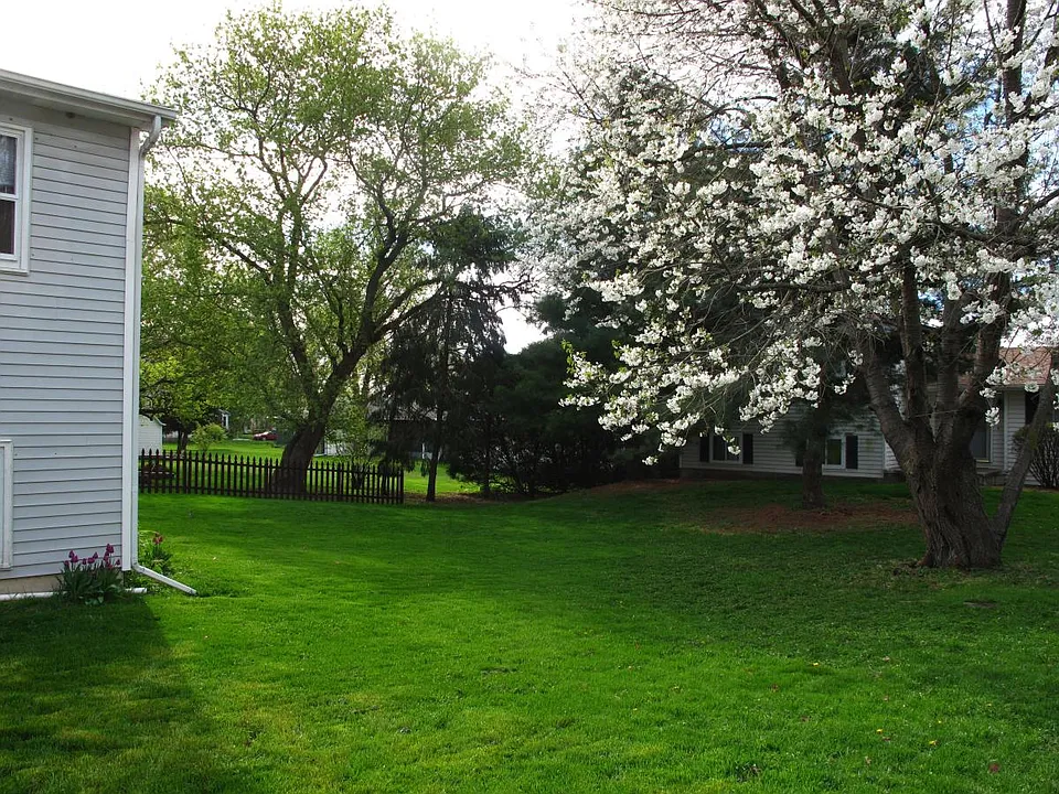 Large yard