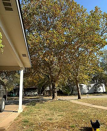 2nd image of 209 N 6th St