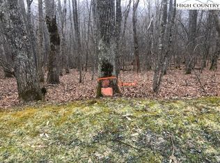 Tbd Saddle Rd, Boone, NC 28607
