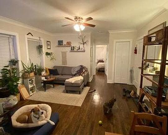 2nd image of 1053 W Lill Ave #3F