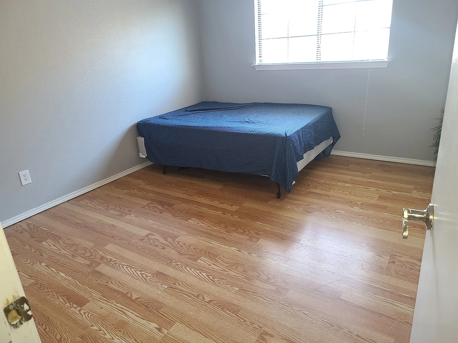 431 Emerald Fields Ln — Photo 3