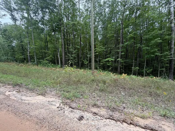 Vl Rolling Rd, Lake, MI 48632