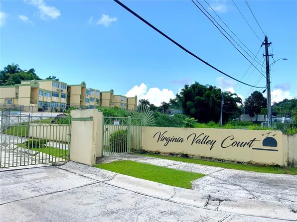 232 Virginia Valley Ct, Juncos, PR 00777